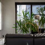 jaloezieen bestellen slim