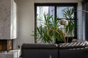 jaloezieen bestellen slim