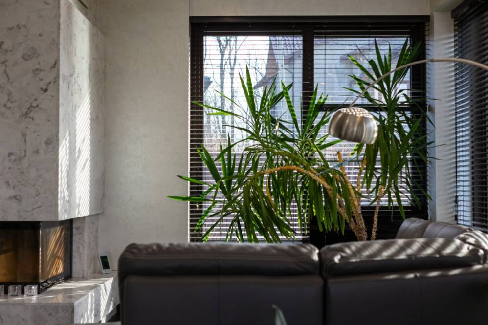 jaloezieen bestellen slim